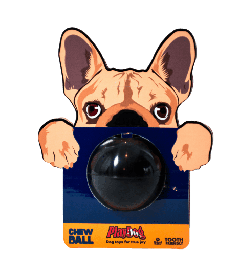Lopta za pse CHEW BALL PlayDog