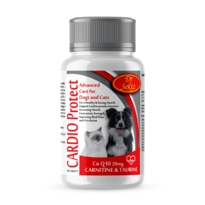 Cardio Protect Dr Sekiz