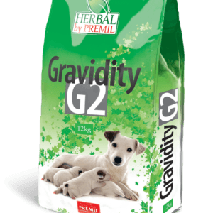Gravidity G2