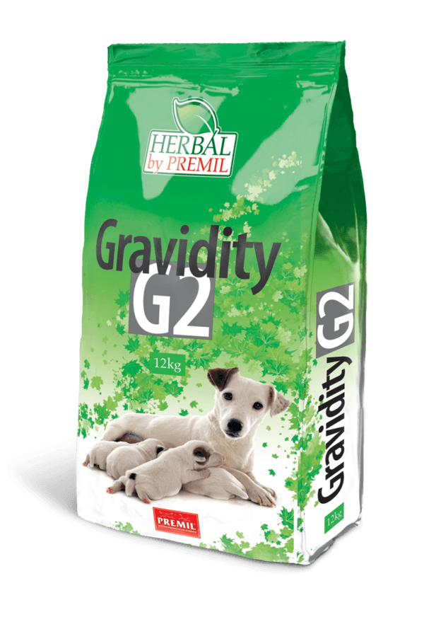 Gravidity G2