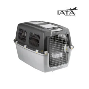 img-1693215577-2530c8790a75 Transporter 6