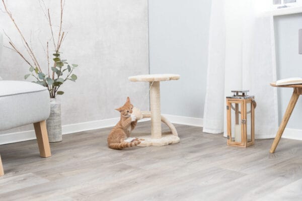 Grebalica za mace Trixie Victoria